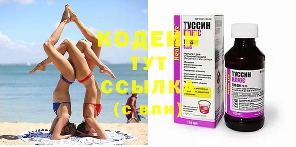 прущие грибы Арсеньев