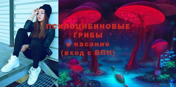 а пвп мука Аркадак