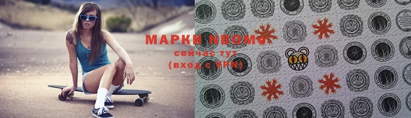 прущие грибы Арсеньев