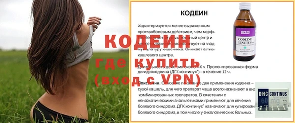 прущие грибы Арсеньев